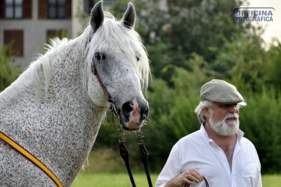I nostri amici animali